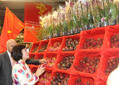 Khẳng định vai trò của doanh nhân kiều bào góp phần xây dựng đất nước
